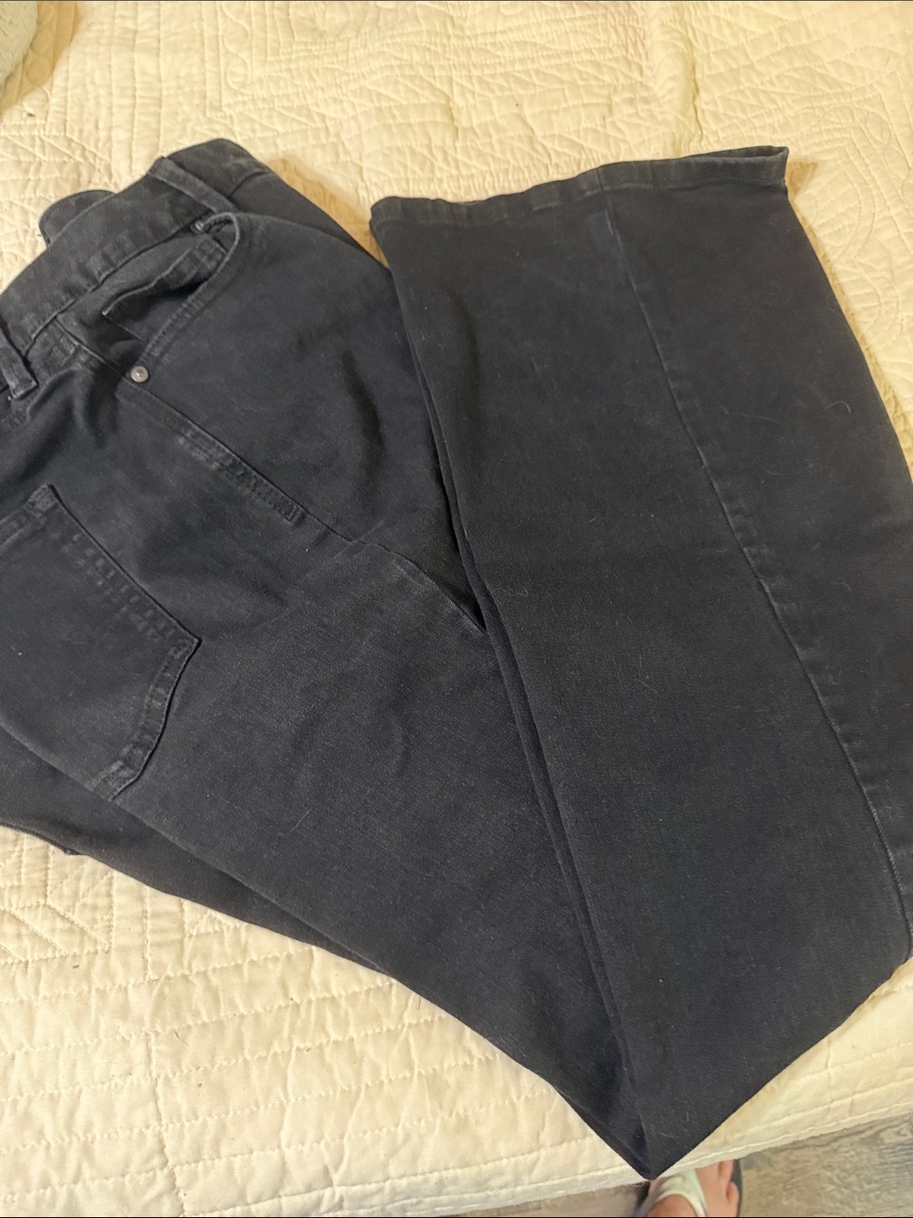 Style & Co. Women’s Black Boot Cut Jeans